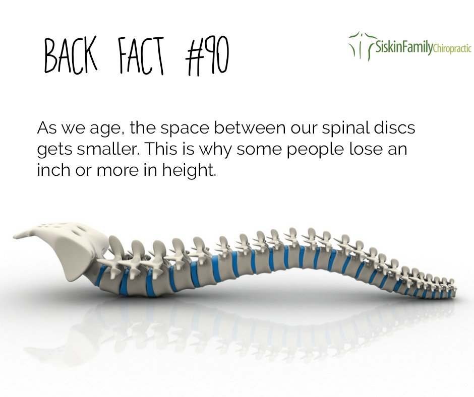 This dispels the myth that it's only bad posture that makes people shrink!
