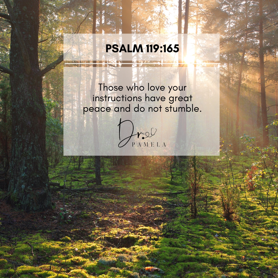 If you are seeking peace today, here is a great reminder that those who love the Lord, and love His instruction, have great peace.