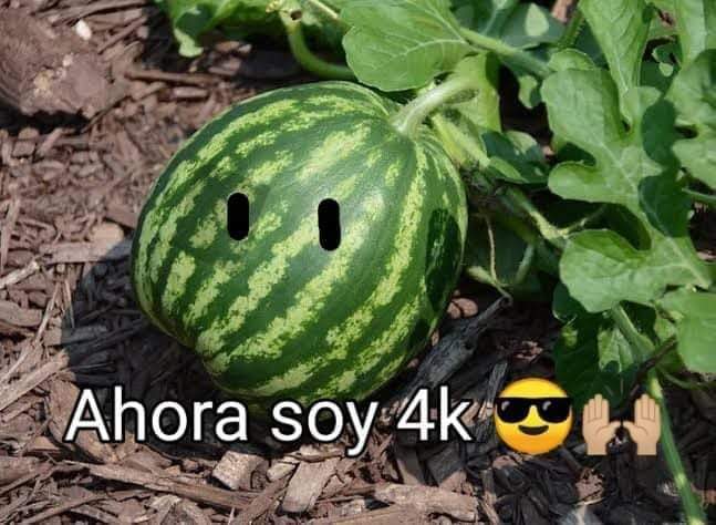 más calidad 🍉🍉