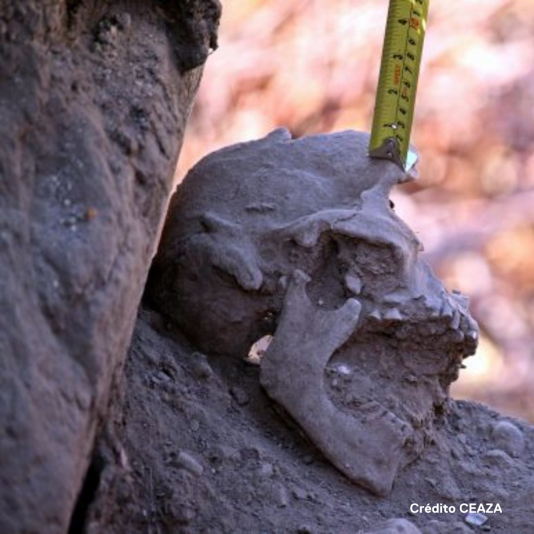 Postgrados UAH tweet media