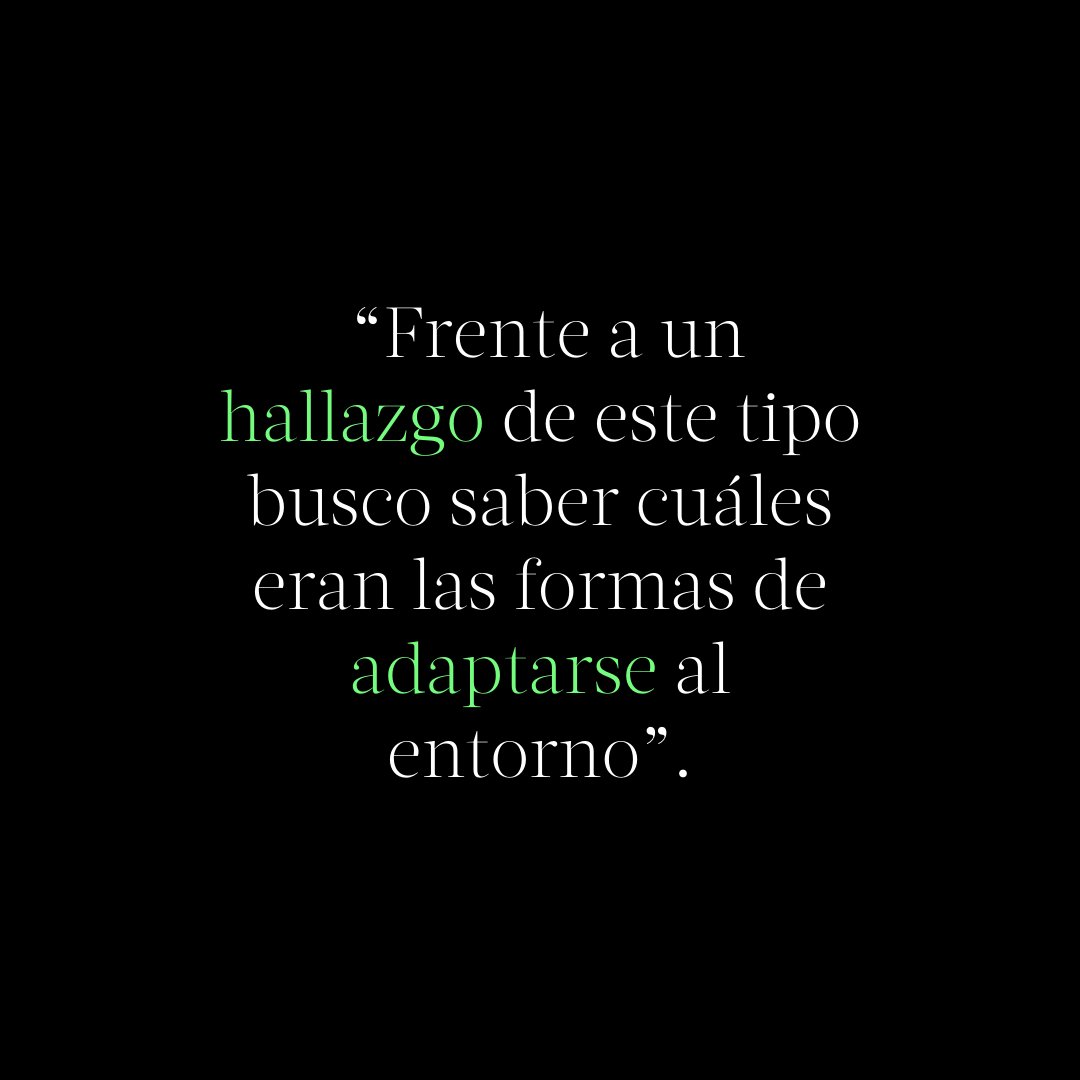 Postgrados UAH tweet media