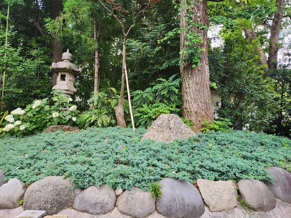 『元宮様』『猿田彦神社様』にご挨拶🙏✨
とても貫禄のあるお社ですね✨
陰ながら(？)三猿🙊🙈🙉さん方にもご挨拶(笑)✨
小さな富士山(？)🗻✨
周囲の緑が神秘的ですね✨
金魚さん達には逃げられてしまいました💧(笑)