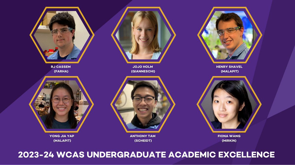 Congratulations to our #chemistry undergraduates who received WCAS Undergraduate Academic Excellence! 🎓🧪🎉 @Farhomies @MalapitLab @MirkinGroupNU @ScheidtGroup @WeinbergCollege