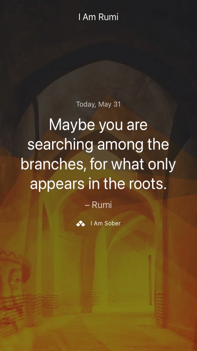 Maybe you are searching among the branches, for what only appears in the roots. – #Rumi #iamsober