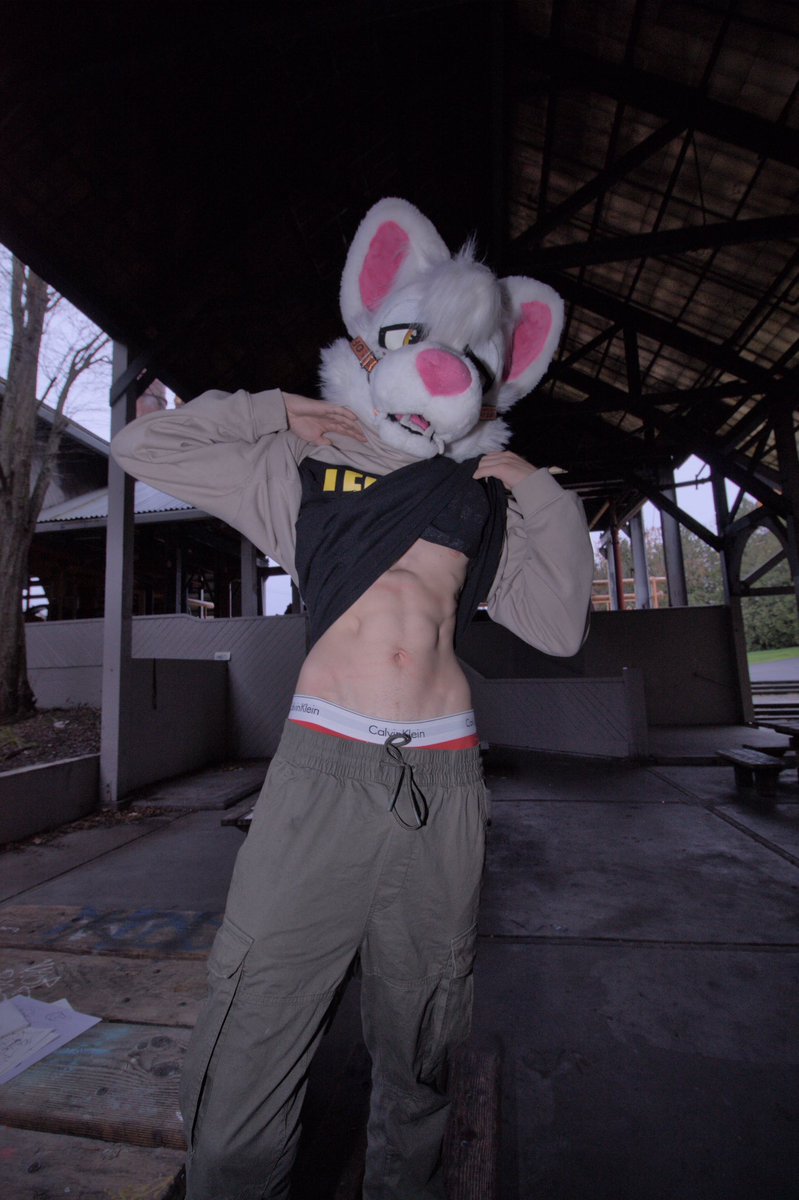 Dog or dawg?? #FursuitsFriday