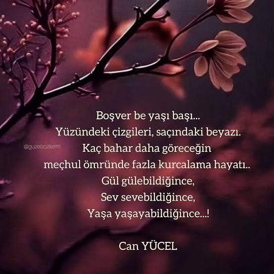 hukukçu (@svcmd441) on Twitter photo 