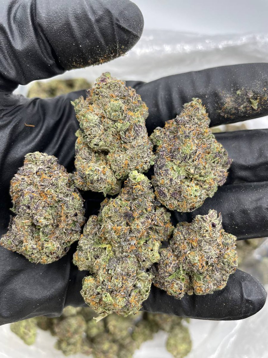 Grape Slushee indoors 
Big sticky purple and frosty nugs. Bomb nose that smells like a grape gas strain crossed with pie hoe. Solid low ticket indoor

$800 a pound shipping to all states DM to place your orders #Texasweed #virginiaweed #lasvegasweed #Dankoteweed #atlantaweed