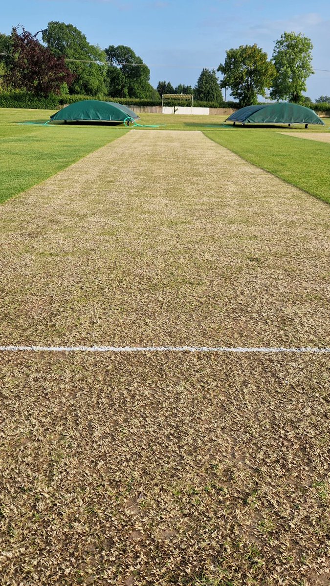 Oldlands CC tweet media