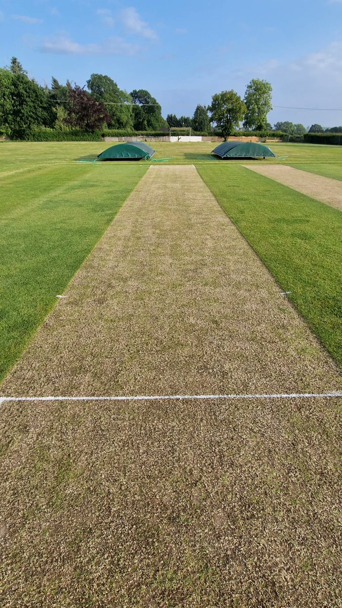 Oldlands CC tweet media