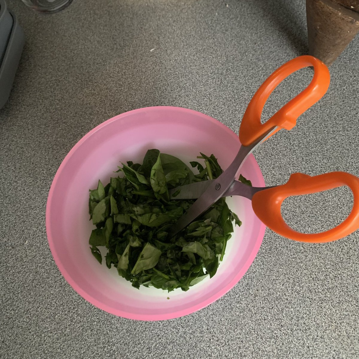 shlickwidit's tweet photo. Mum just asked me to chop up some spinach #IKYK https://t.co/l0pOAbA3ym