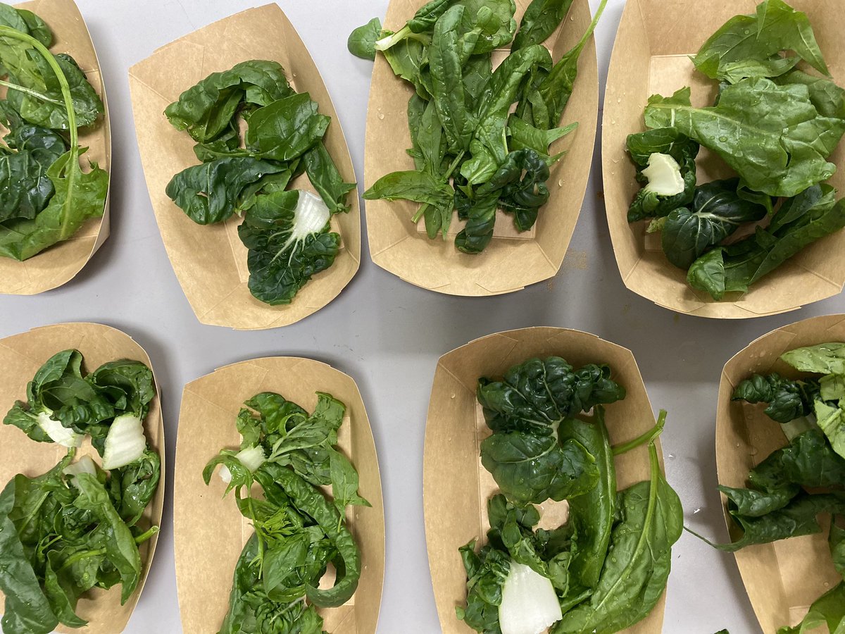 Carey Domena tweet media