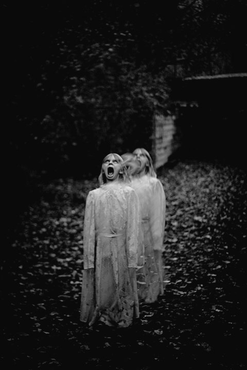 Strange beginnings, and an even stranger end.