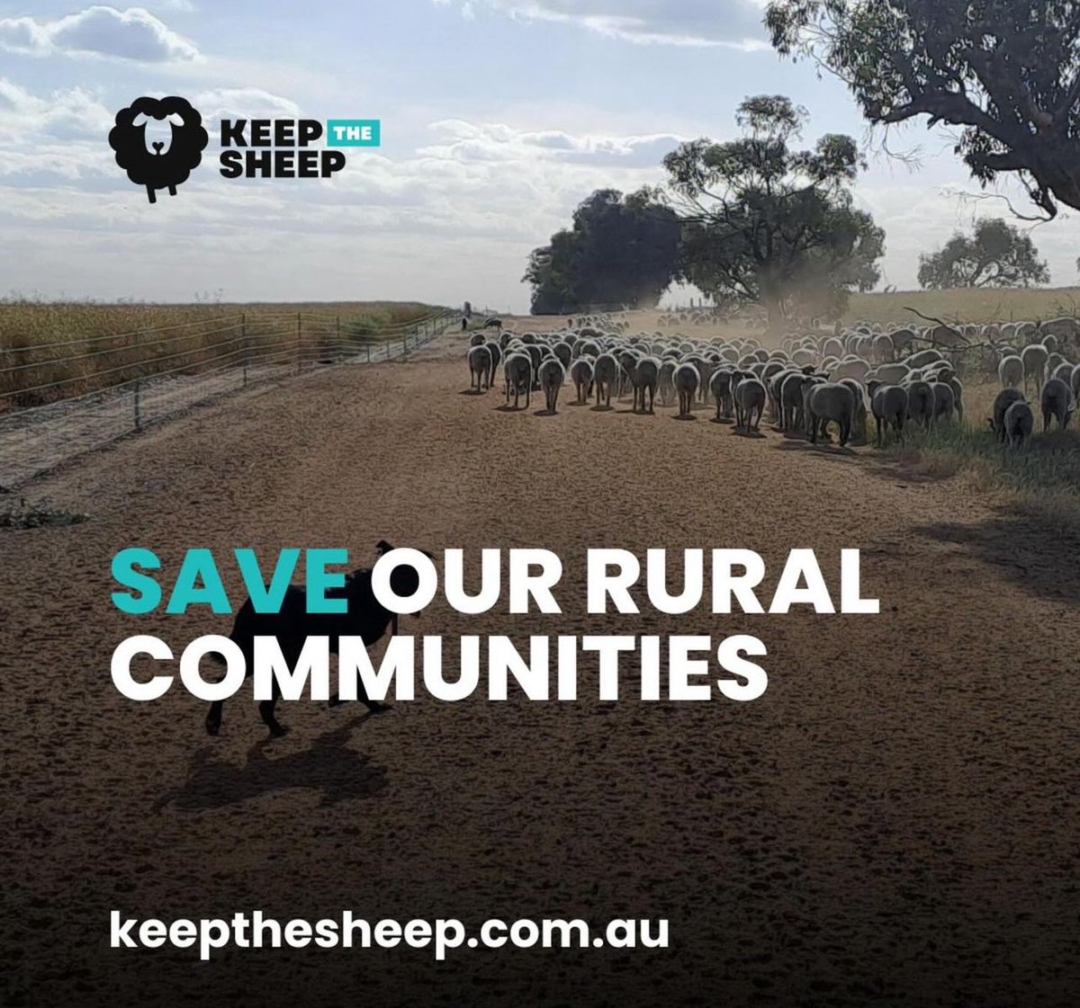 #keepthesheep <a href="/keepthesheepWA/">KeepTheSheep</a> <a href="/keepthesheep/">Keep the Sheep</a>
