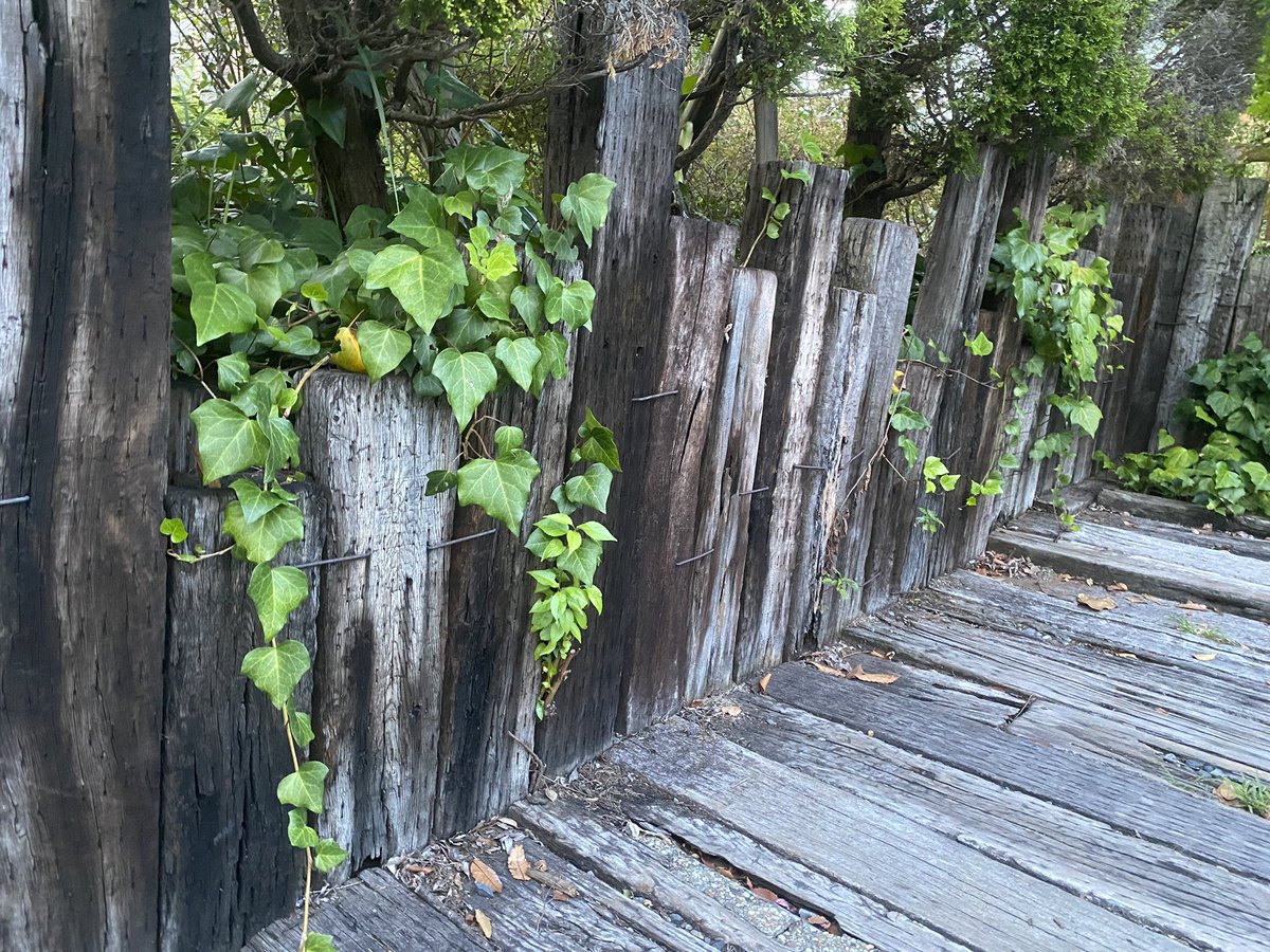 おはようございます。
刈谷市は晴れ、18℃🌤️

植物好きの3歳児が野生の違法ケシを発見し表彰されたそうです。知識は身を助けると言いますが見習いたいですね。

今日も素敵な一日になりますように✨

#企業公式が毎朝地元の天気を言い合う
#愛知Twitter会