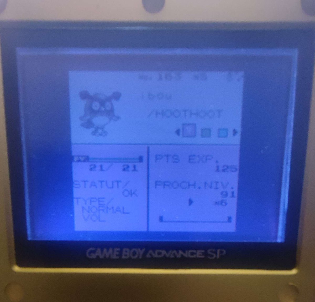 2e Hoothoot sur ma shasse de Mimigal sur Cristal, après 11013 rencontres.
J'avais pourtant changé de zone pour en avoir moins...
Désolé pour la mauvaise qualité, j'y peux rien 😐