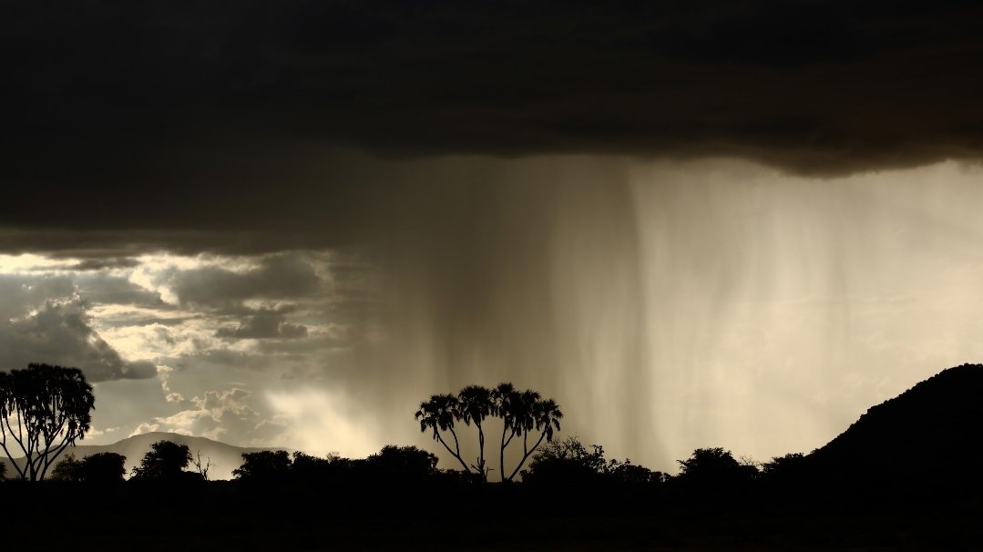 Kingybob tweet media