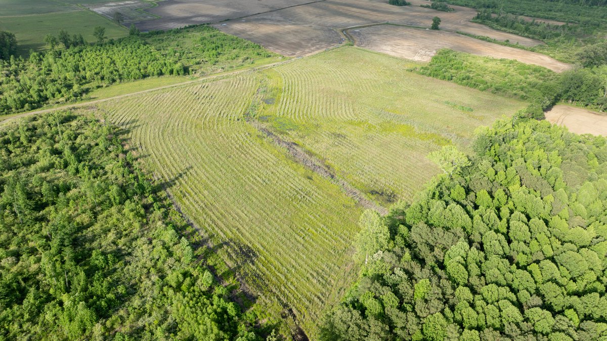 EcoTerraLLC's tweet photo. #AmericanWetlandsMonth has been amazing! Colonial Farms Wetland, constructed and planted two years ago, is already thriving with lush vegetation, firm trees and restored wetlands! Images shot on our Mavic 3 drone 💚🌳 #EcoTerra https://t.co/bxttavERtV