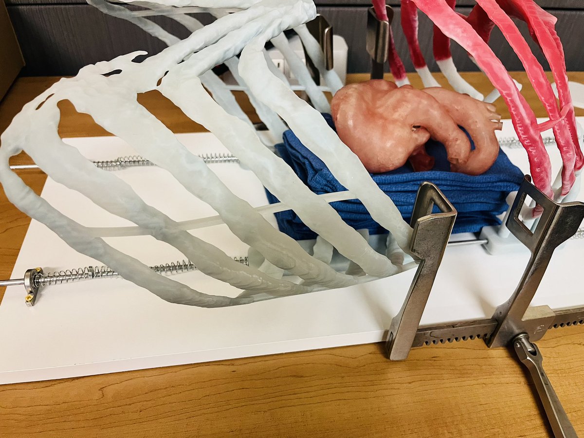 simul8_tech's tweet image. Reusable clamshell thoracotomy simulator coming soon! (Some assembly yet required) @STS_CTsurgery @AmCollSurgeons @ATACCGroup @ELSOOrg #trauma #surgery #clamshell