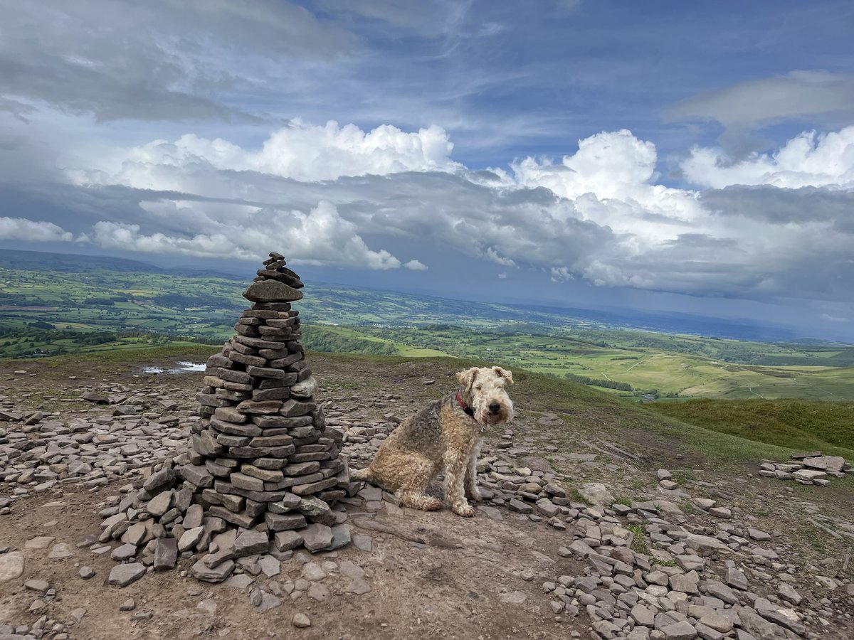 MedleyPup's tweet photo. Sitting on Lord Hereford’s Knob. As you do. https://t.co/xTe7arsVI3