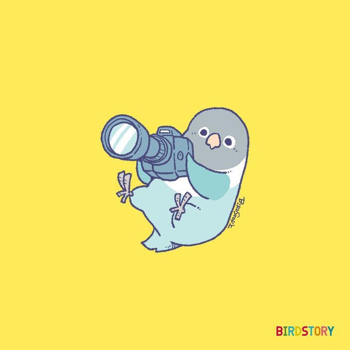 「BIRDSTORY」 illustration images(Latest))