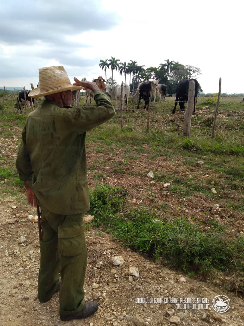 El divisionario activo más longevo, de visita en la Finca EL Guatao.... evaluando los resultados alcanzados en el desarrollo agro-alimentario.

👉Estos son los hombres que necesitamos Los que Trabajan más y Critican menos.
💯❤️🇨🇺
#GenteQueSuma
#Cuba