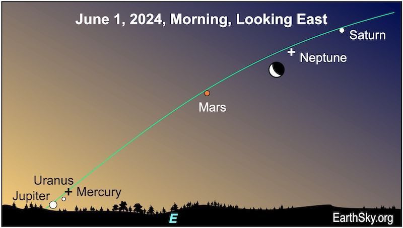 Tomorrow morning, the lineup of 6 planets will find the waning crescent moon hanging between Saturn and Mars, and it’ll be close to the spot where Neptune lies. 🌘 🪐 More here: earthsky.org/tonight/lineup…