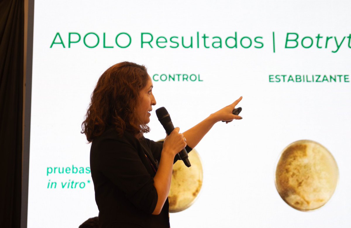 apolo_biotech's tweet photo. 📢1ª Jornada de Tecnologías para la Cadena Agroalimentaria!🌾✨ Un evento organizado por @InnventureOK que reúne a expertxs para explorar las últimas innovaciones.

🗣️ Ayelen Porto tech transfer manager de @apolo_biotech presentó los últimos avances de nuestra tecnología. https://t.co/wD28QyQnWY