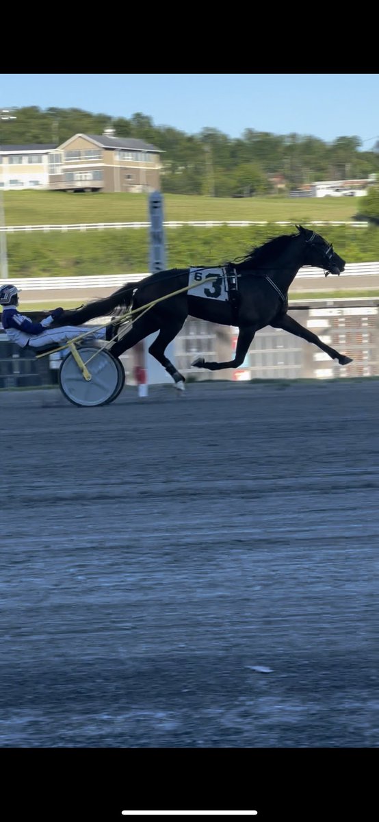 TheMSOA's tweet photo. TCI makes his debut start in the second division of the Super Bowl PA Sire Stake a winning one in 1:52.2. Ron Burke was the winning trainer and David Miller (Purple Jesus) was the winning driver. #harnessracing #betthemeadows https://t.co/FmiIHpxyXK
