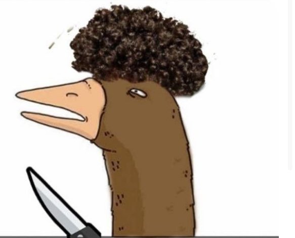 ¿Es moro? (@morochecker) on Twitter photo 