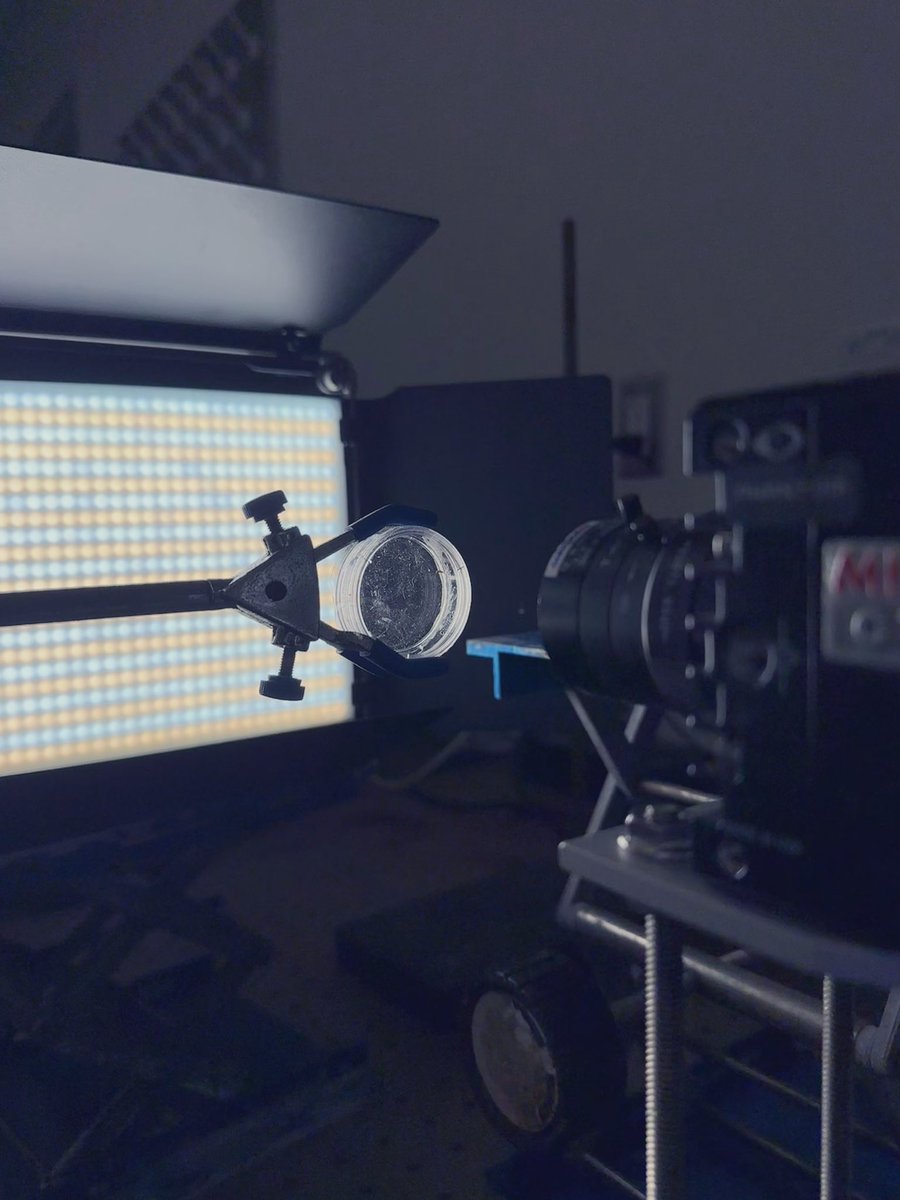 MaryamRFaghihi's tweet photo. Thanks to Pasquali Lab @cf2_group we finally got a camera to closely observe what these smoll critters are doing & WHY! 🎥⏺️🦟♥️🔦
#Synergus
#parasitoid_wasp https://t.co/P5HPasSCRq