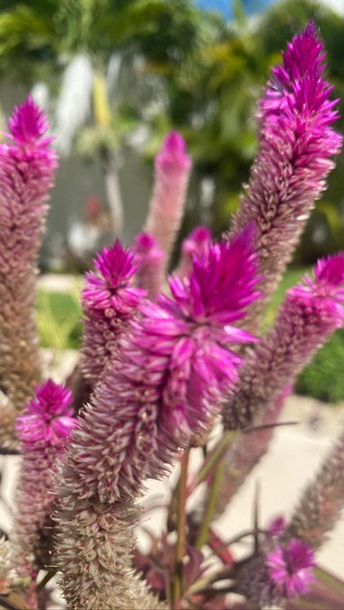 👾 https://t.co/4BrpPr9Vx9