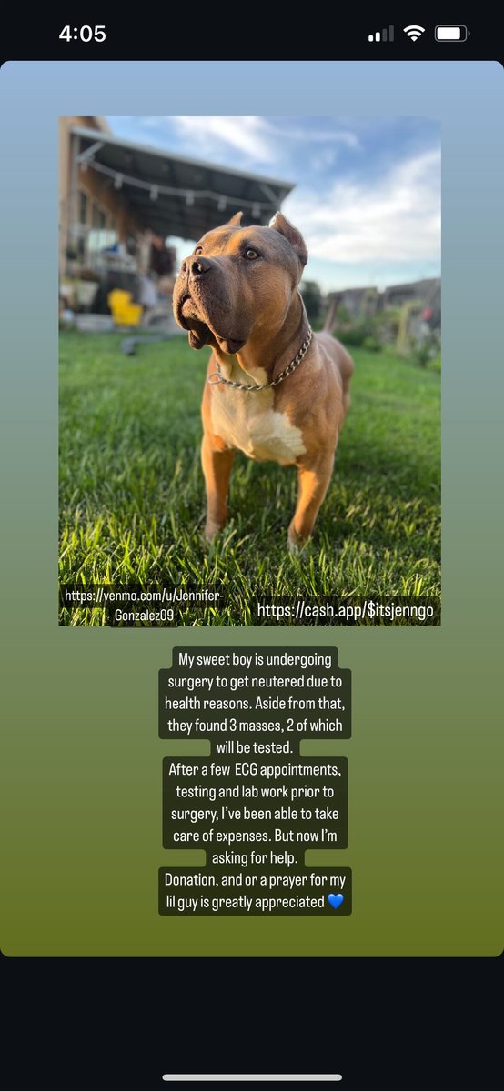 daviddreal209's tweet image. Hey sneakerfam. I hate to ask but a family member is need of help. Her companion pup had to have some procedures done. Any help is appreciated 🙏 @PetSmartChariTs @PEOPLEPets @SellKicksSunday @iAmTMCII @DblocDunks #Bullys #Simba