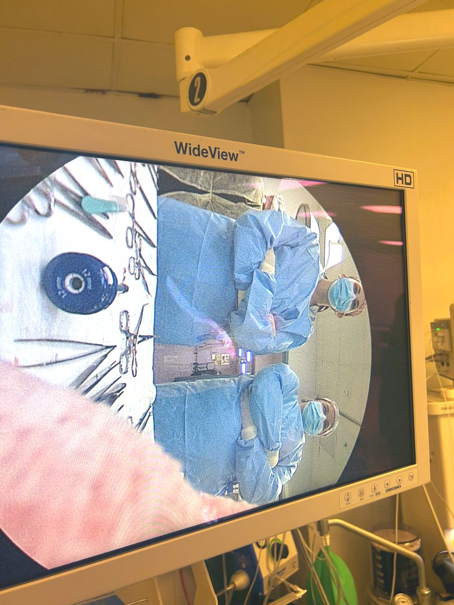 Hard to look this good from a 10-30 scope but here we are <a href="/CAlvaradoMD/">Christine Alvarado</a>.