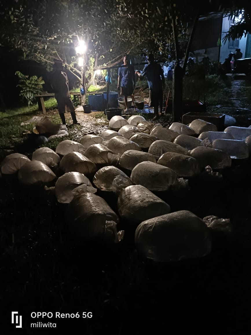 Ismail ogie tweet media