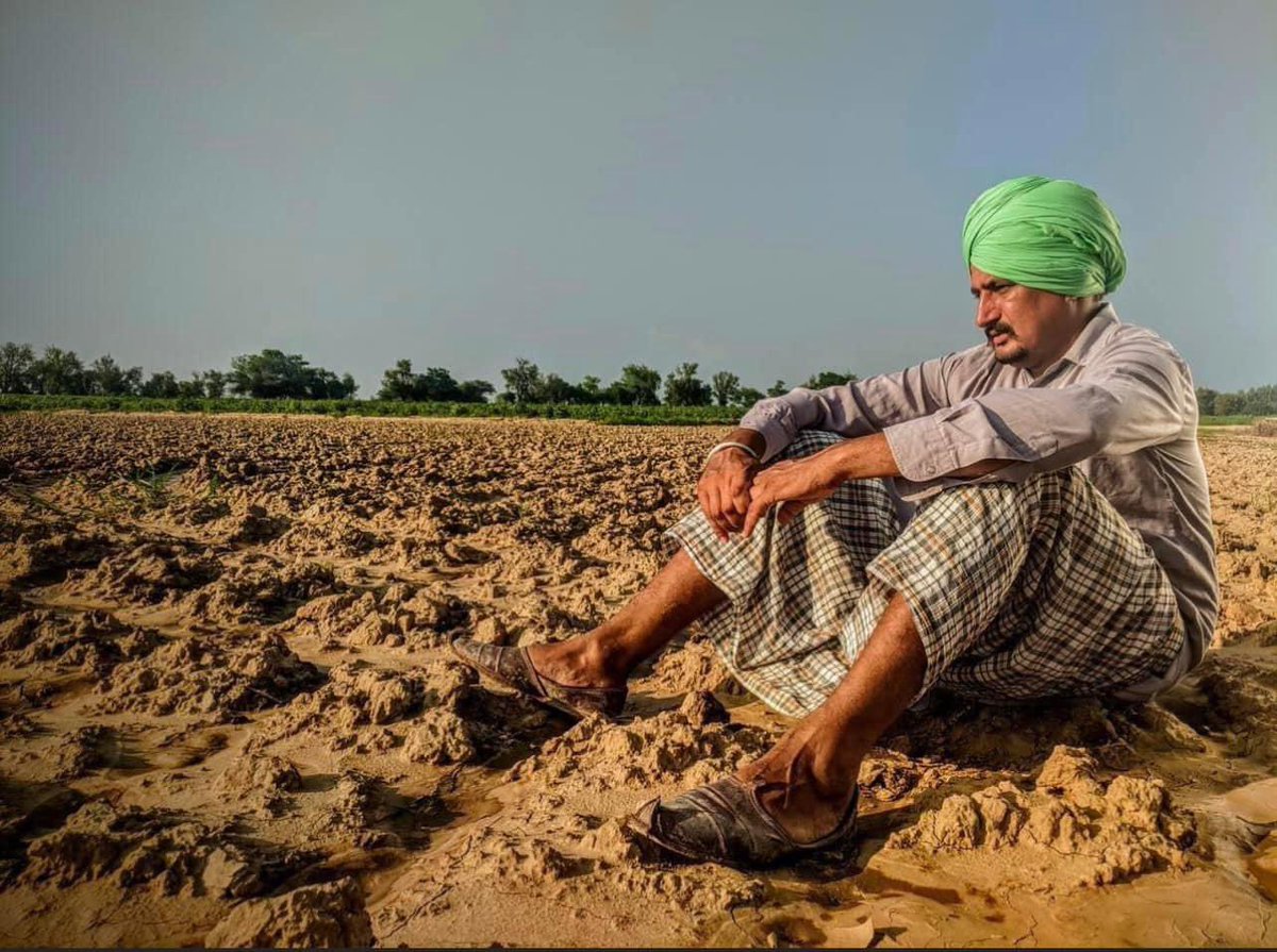 Koj athroo sadi dharti lai,
Koj athroo sadi soni Quom utey.

Koj athroo dharti nu chaad k jaan de lai
Koj athroo agli naslaaN utey.

Koj athroo rondiaaN bhenaaN lai
Koj athroo khutiaaN mavaaN te.

Koj athroo puttey karotyaaN te,
Koj athroo lutiaaN chavaaN te.

(A A Randhawa)