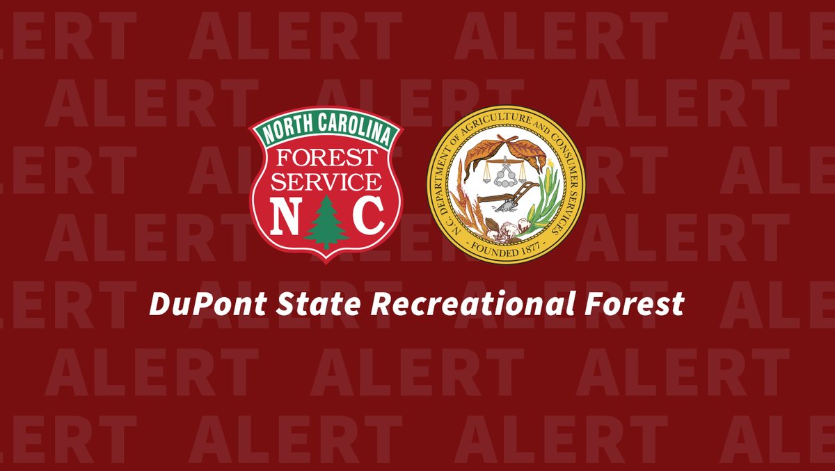 Visitors should be mindful of several current trail closures at DuPont State Recreational Forest. For complete list of closures and to prepare for your visit: bit.ly/3nFpaVW