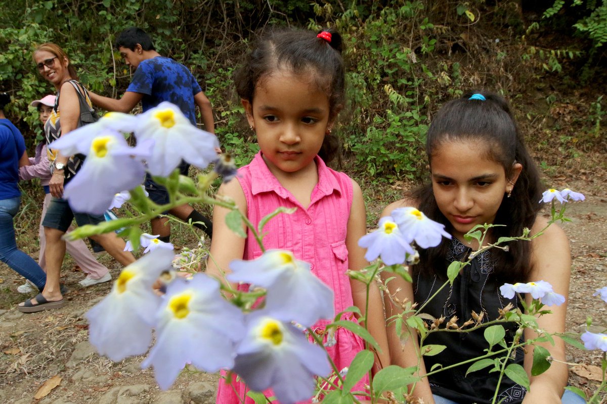 ¡Celebramos el Día del Niño con diversión, cultura y naturaleza junto a los pequeños aventureros de @Funsendazul_! 🌟

Comenzamos nuestra aventura con una emocionante obra de teatro y exploramos el museo en la Casa de los Títeres. 🎭
Además, nos conectamos con la naturaleza al