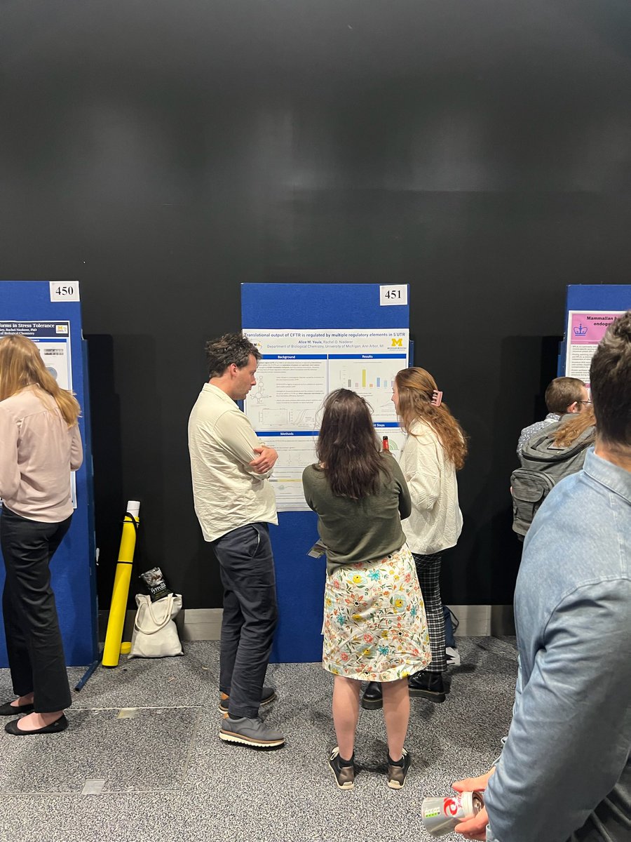 Alice Youle tweet media