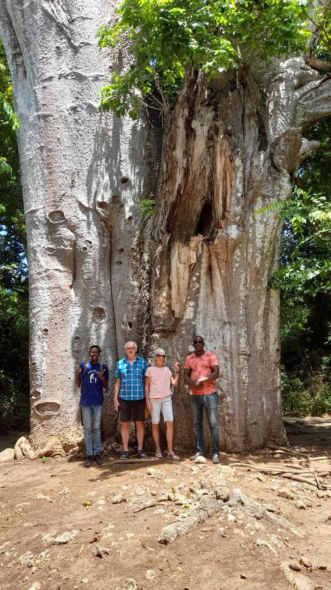 D. Collins Owuor, PhD (@davidcollinso) on Twitter photo Finally, for 2023-24 Rotary year, Rotary Club (RC) of Kilifi <a href="/KilifiRotary/">Rotary Club of Kilifi</a> hosted RC Northumpton, UK for a needs assessment visit, resulting in a successful desks project to be undertaken by Kilifi GK prisons where desks will be made for a deserving school. Finally, for 2023-24 Rotary year, Rotary Club (RC) of Kilifi <a href="/KilifiRotary/">Rotary Club of Kilifi</a> hosted RC Northumpton, UK for a needs assessment visit, resulting in a successful desks project to be undertaken by Kilifi GK prisons where desks will be made for a deserving school.