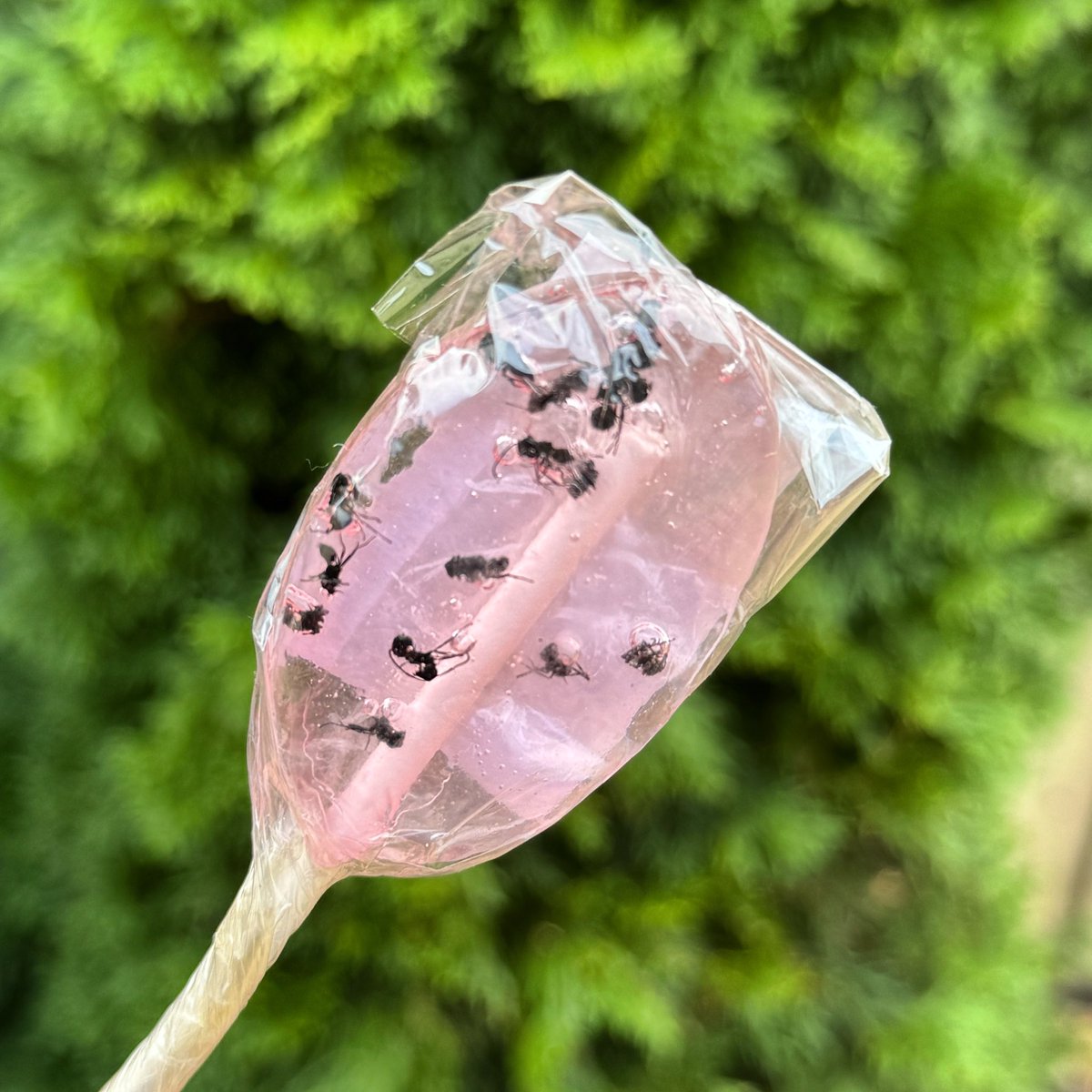 Was told this is the future of food last night. Not convinced <a href="/VicFarmers/">Victorian Farmers Federation (VFF)</a> <a href="/GermanoEmma/">Emma Germano</a> #why