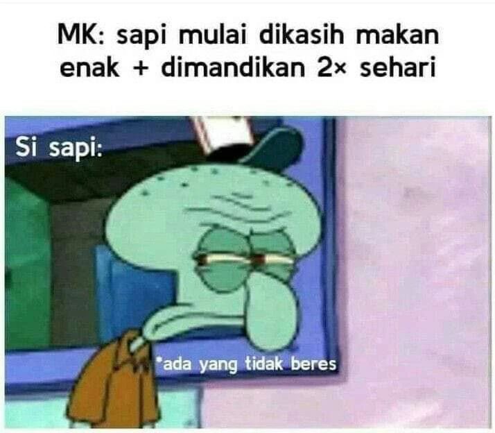 sosmedkeras's tweet photo. Untung sapi ga bisa baca kalender https://t.co/YhH7rQCQF4
