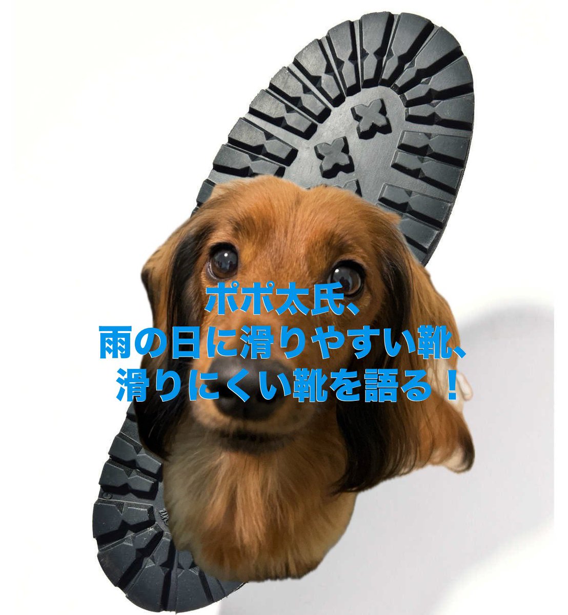 Kunotom's tweet photo. ポポ太氏、雨の日に滑りやす��靴、滑りにくい靴について語る！

https://t.co/XRm8hkJv5b

#スポーツ整体 #柿生 #腰痛 #スポーツ整形 #運動療法 #ウォーキング #横浜市 #膝関節痛 #ぎっくり腰 #スポーツリハビ #靴選び #滑らない靴 #登山靴 https://t.co/8TcCr12Pbq