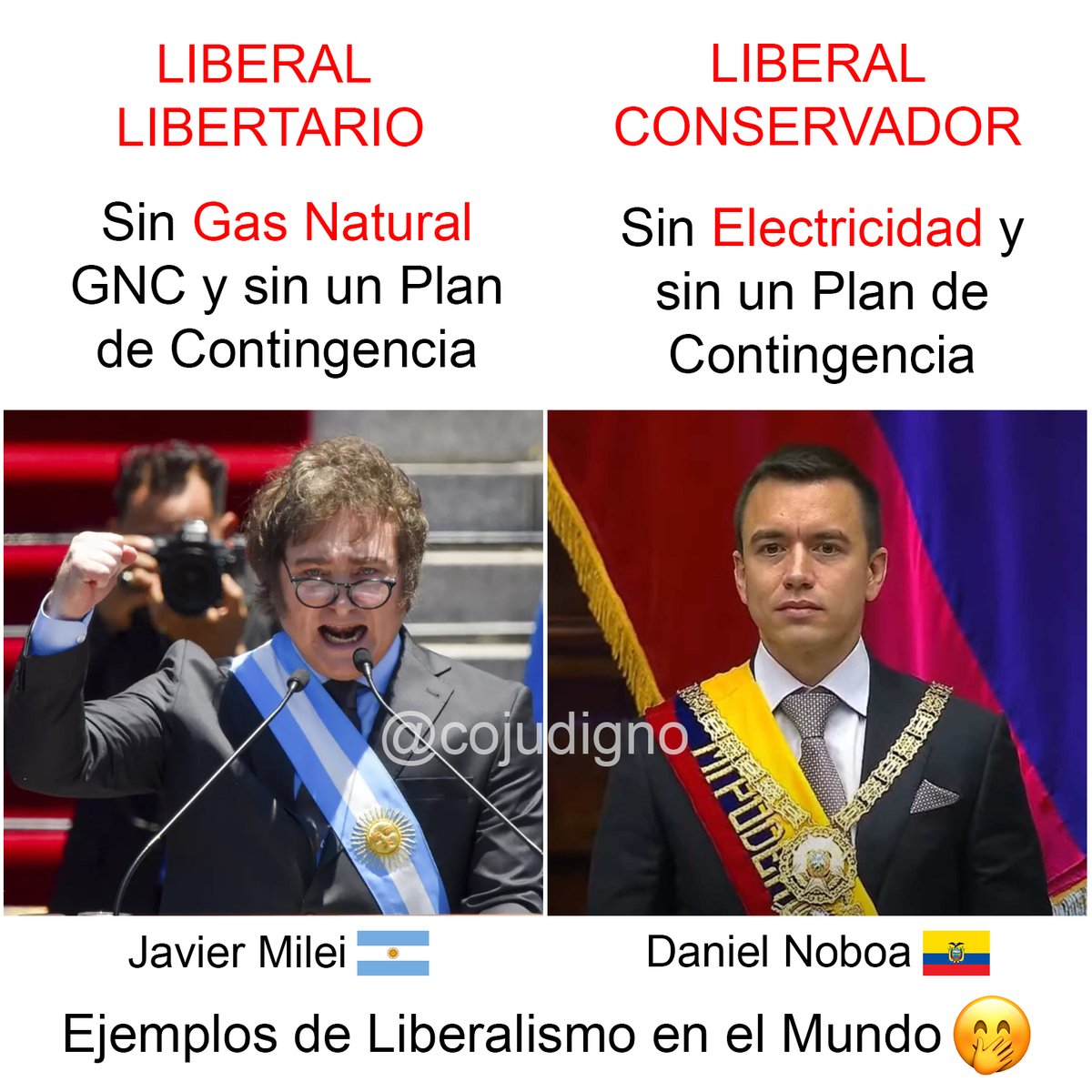 CojudignoOk's tweet image. Liber-Inútiles por el mundo 🤣 #Libertos #Peronchos