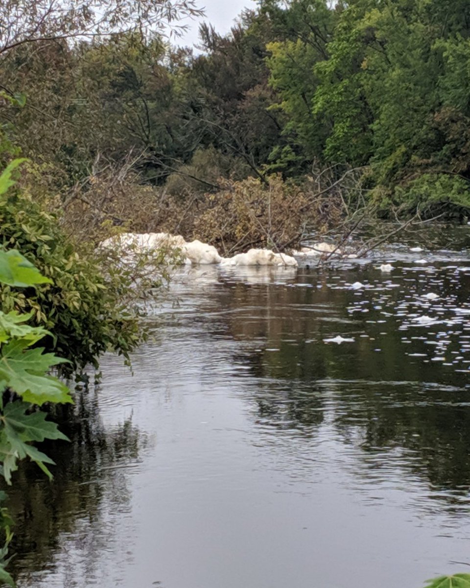 AndiRichWI's tweet image. The JFC's delay in releasing $125M for PFAS cleanup is putting the health of Marinette, Peshtigo, Stella, and Rhinelander at risk. As your Senator, I'll fight for corporate accountability, expedite funds, and protect our communities from poison. 💪
#TeamAndi #wisdems #SD12 #vote