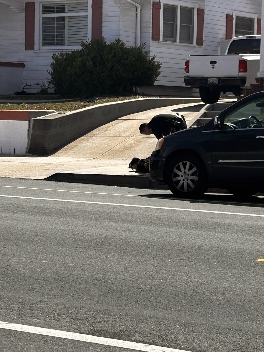 ChrisQuilisch's tweet photo. School Police take down a suspect in front of school kids, very near Cabrillo Elementary for allegedly having a gun. Picture by student. Ok for @KTLA to repost https://t.co/9rNrzc6Nzi