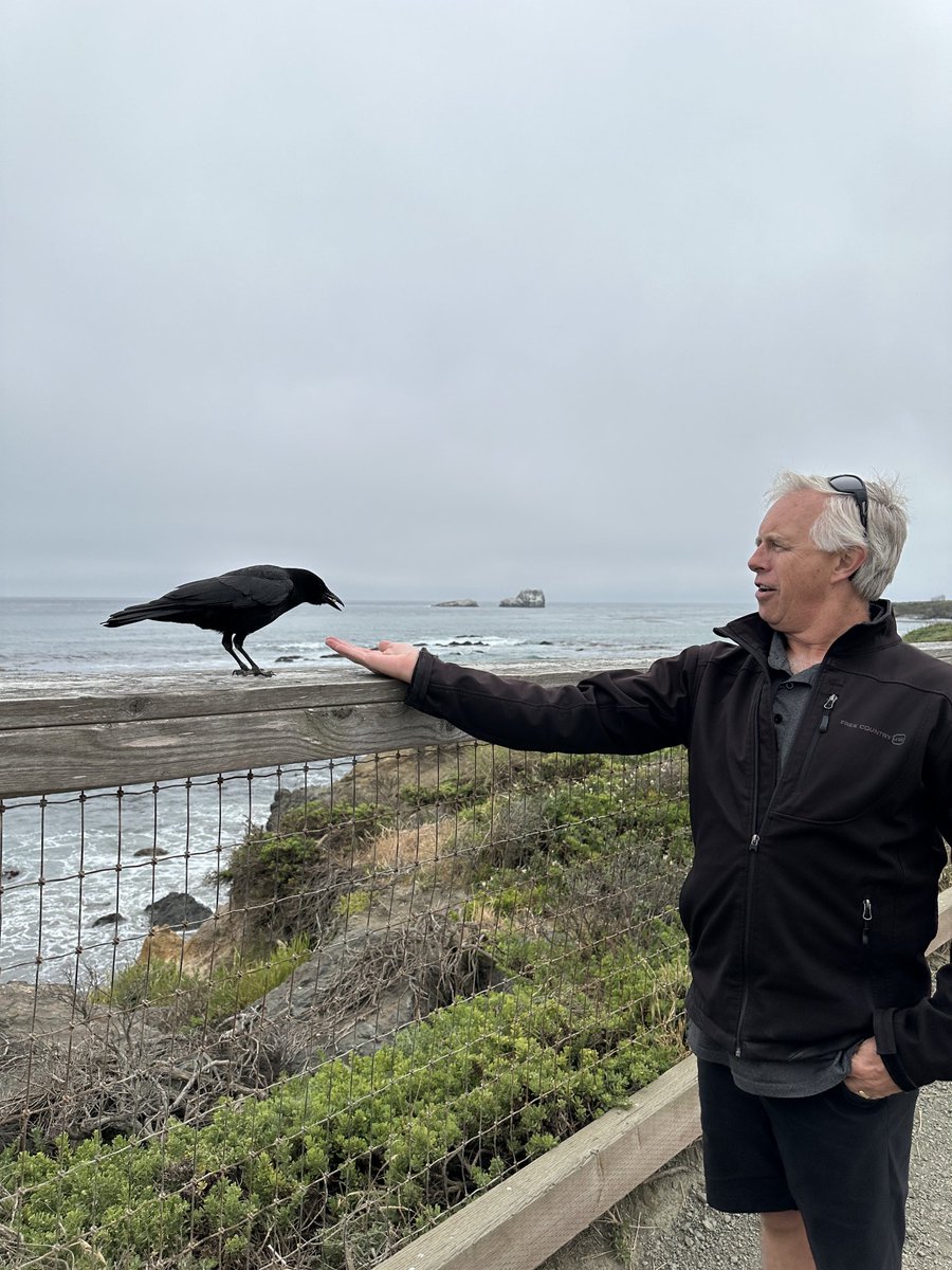 Feeding our friend.  #Ravencoin