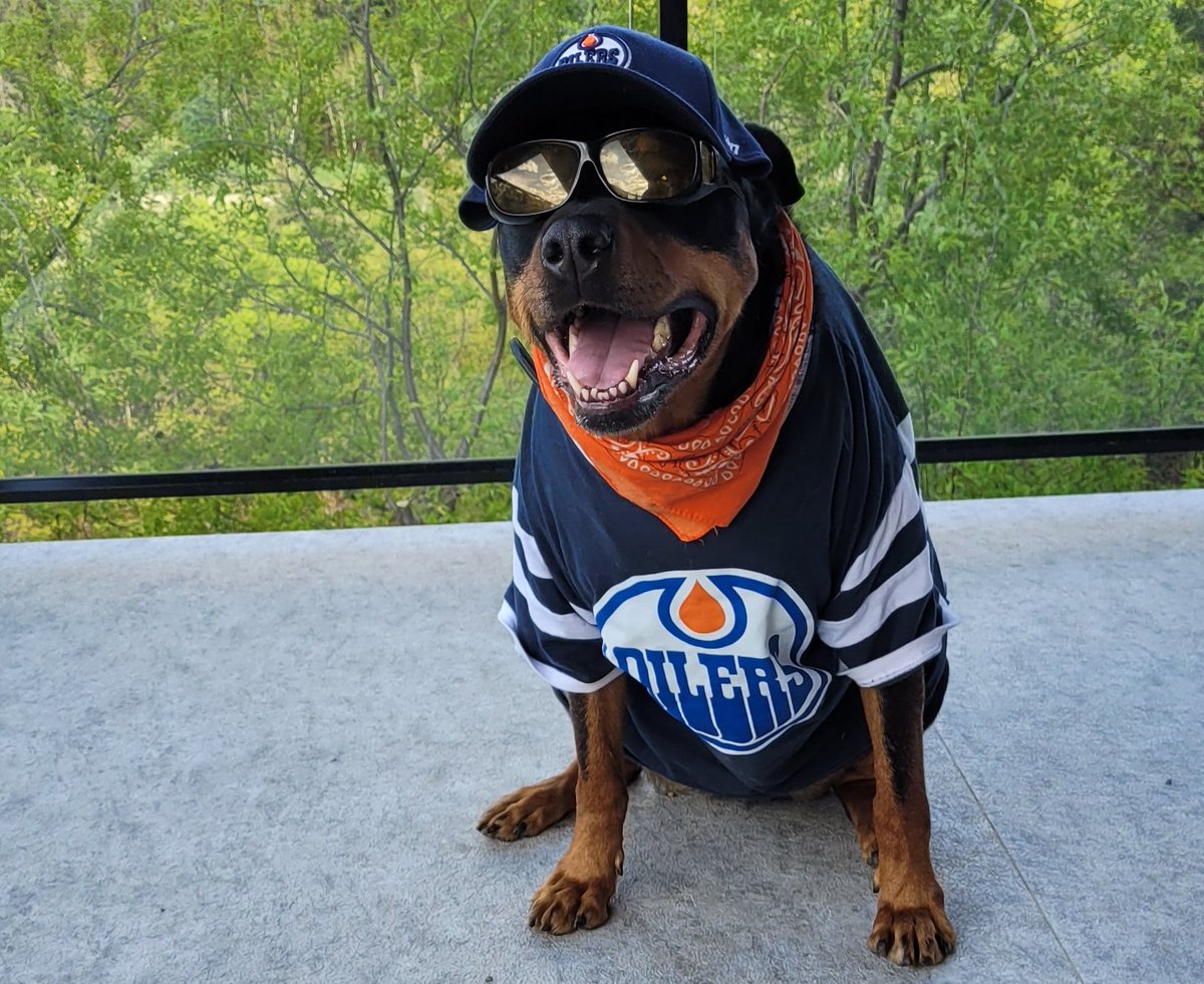 It's puck drop time. My @EdmontonOilers and the @DallasStars continue their playoff battle. I'm predicting a 4-3 #Oiler win tonight. There's pork bites on hand for goaltreats! #LetsGoOilers (We won't be doing game updates tonight. It's been a long day and we have to prep for