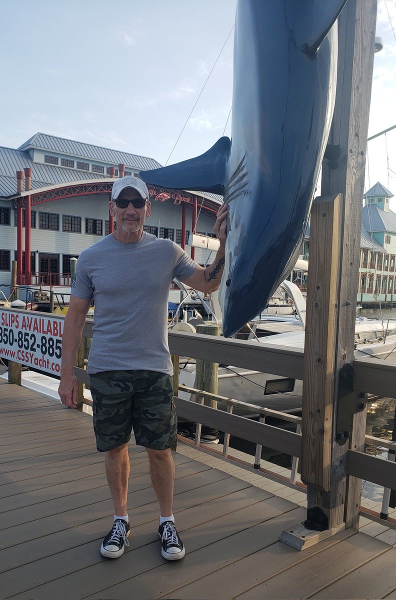 'Dont know how many times I've walked past this shark...