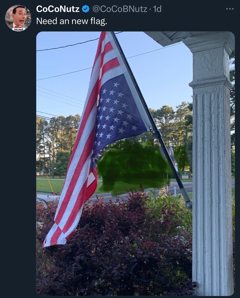 @Bossmoney8444 Nice patriotism @ReffittNicole. How many MAGAs are disgracing the flag because your orange Jesus got held accountable for committing crimes?? The US Flag Code said flags should NOT be displayed upside down. Coco’s a veteran, so his her husband and kids.