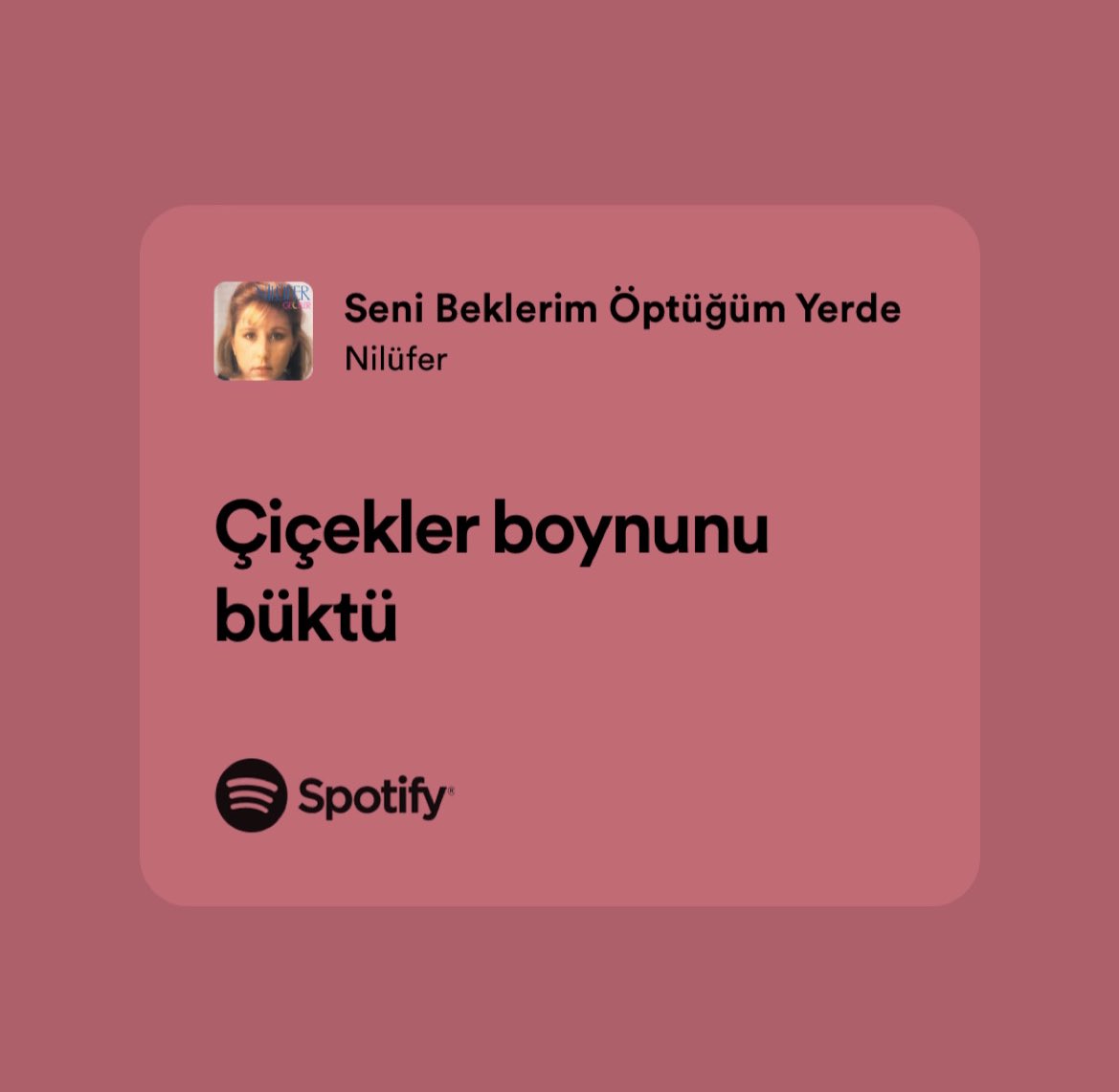 ilayda (@ilayayayay) on Twitter photo 